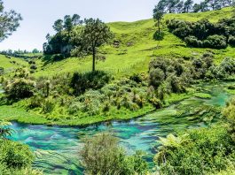 Auckland to Hamilton