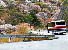 Travel by Bus in Japan